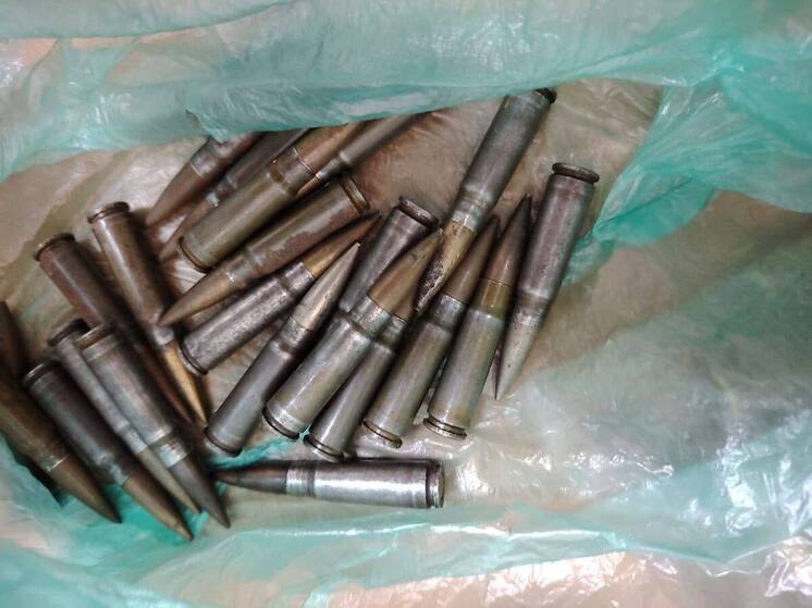 Пенсионер из Жуковского района устроил в гараже оружейный арсенал