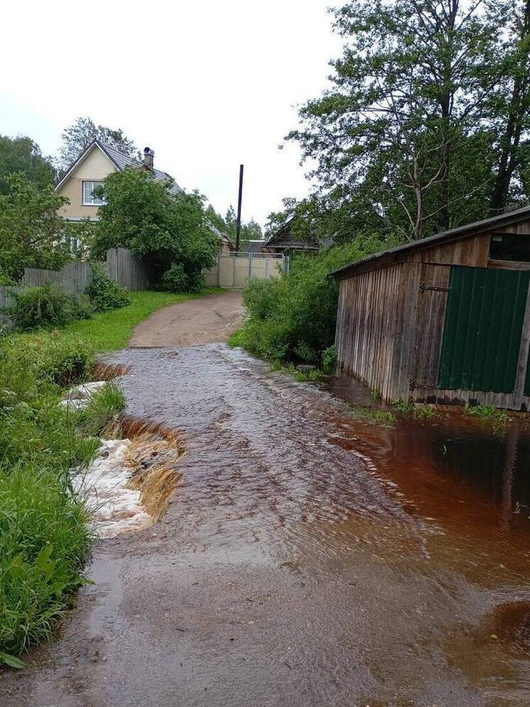 Подтопленные частные дома нашли в Струго-Красненском округе