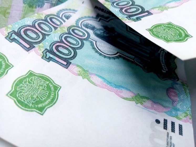 Предприниматели и самозанятые Вологодчины смогут получить микрозаймы с господдержкой