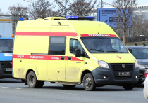 Исполосовала ножом свою родственницу, когда та спала, жительница Северо-Восточного округа столицы