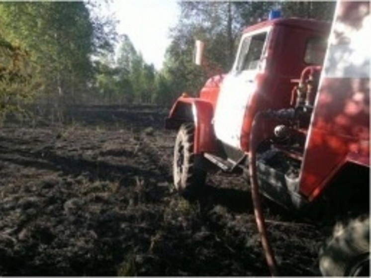 В Кадыйском районе ликвидированы два очага лесных пожаров