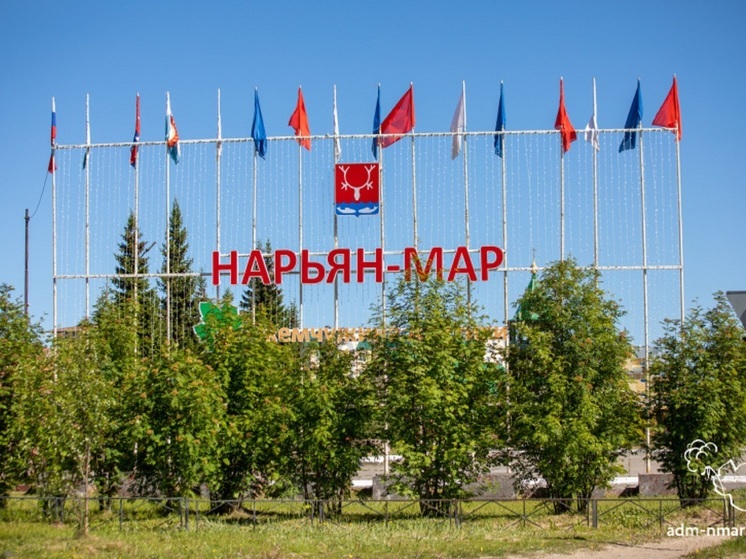 В НАО разобрали ошибки бизнесменов при заявках на субсидии