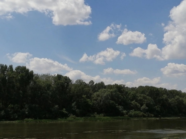 В Оренбурге через год, возможно, появится новый мост