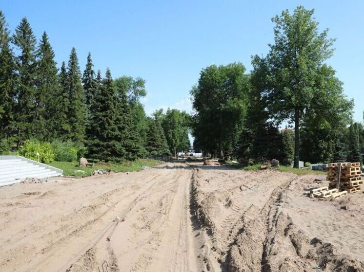 В парке имени Ленина высадят кедровую аллею