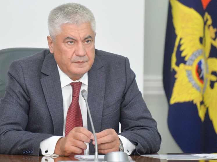 Глава МВД наградил полицейских, проявивших героизм при пожарах и наводнениях