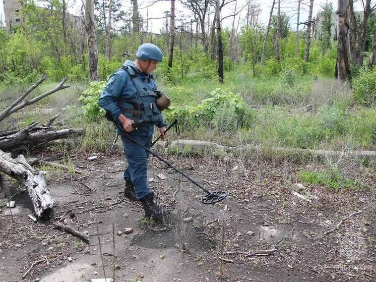 Первым жителям освобожденной Красногоровки вернули свет в дома