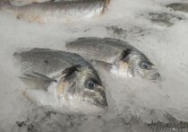 Рыба является одним из лучших продуктов питания, богатым белком, витаминами и минералами