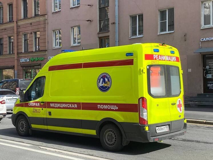 Петербуржец попал в реанимацию после удара током у трансформаторной будки