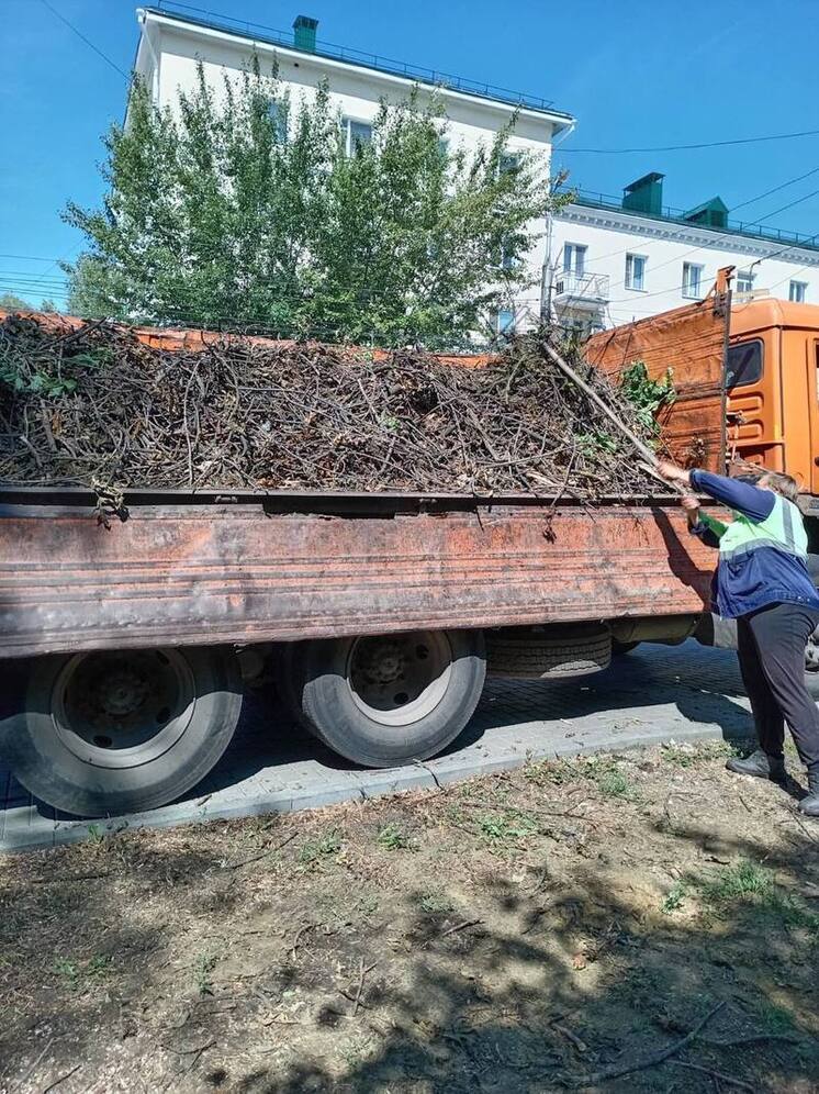 Пензавтодор ежедневно следит за состоянием городских газонов