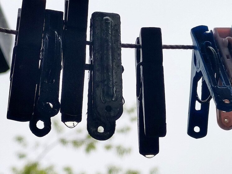 Во Владивостоке 19 июля утренняя морось и до +24 градусов