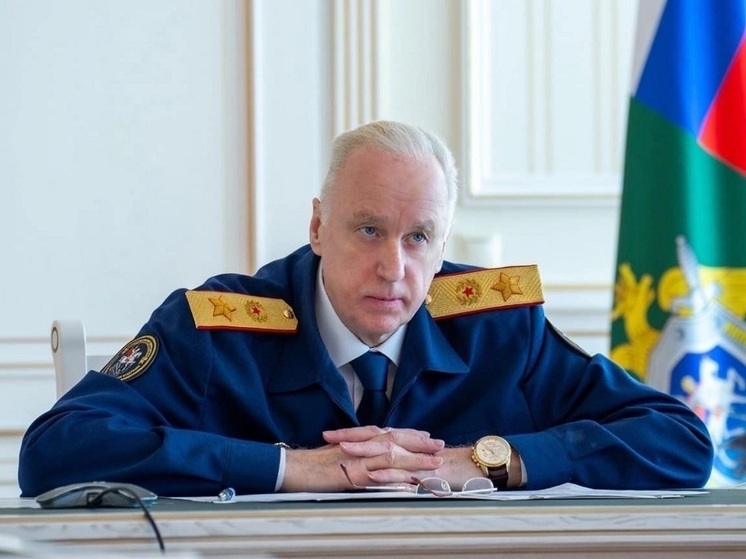 Бастрыкин взял на контроль ДТП с ребенком в Новосибирске
