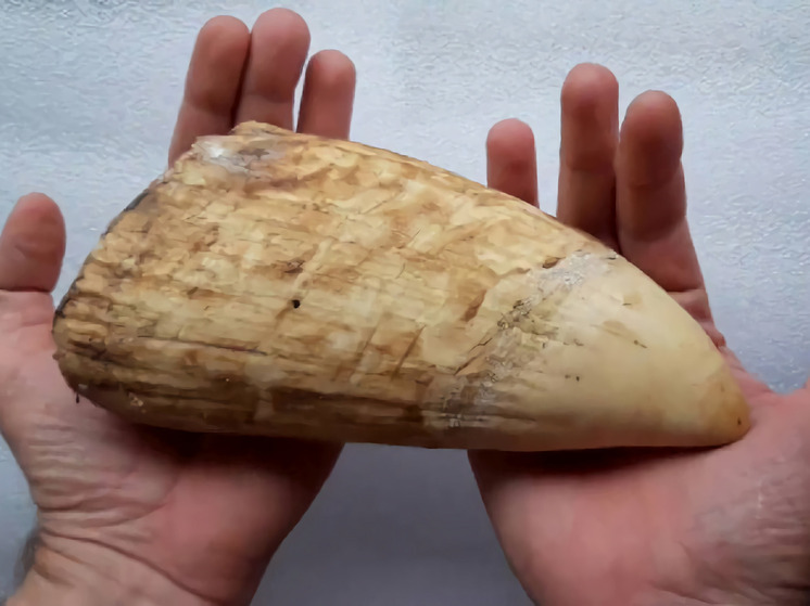 В Хабаровске задержали контрабандиста из Китая