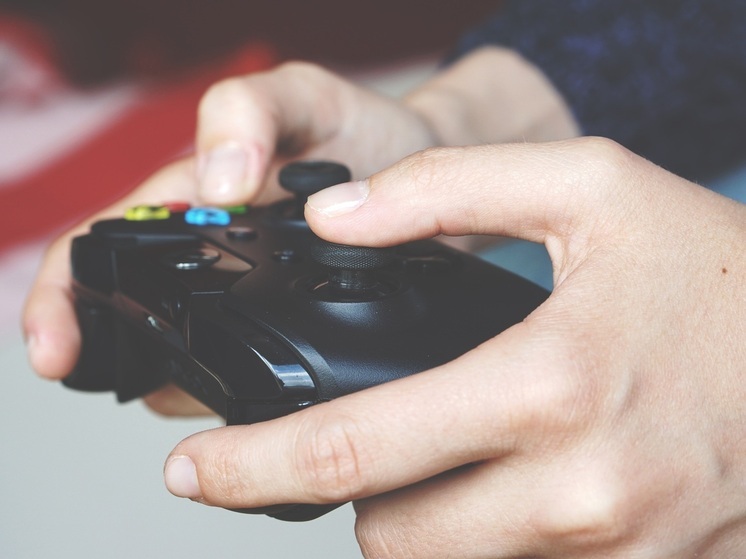 Приморцев приглашают на игрофест – «WameFest»