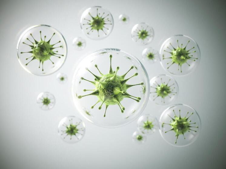 Objetos cotidianos y bacterias