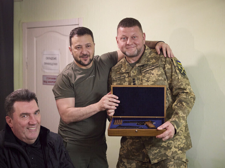 Депутат Рады Дмитрук: замена Зеленского на Залужного будет нелегкой