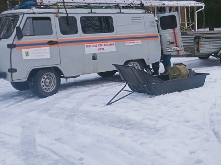 В Карелии вынесен приговор водителю снегохода, который устроил смертельное ДТП