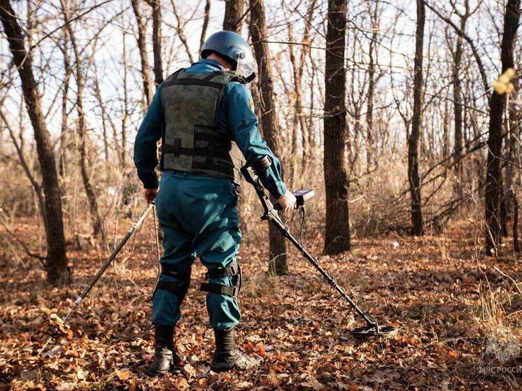 Почти четыре тысячи гектаров обследовано в ДНР на наличие взрывоопасных предметов