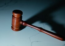 Житель Москвы завершил судебные разбирательства с соседом по даче