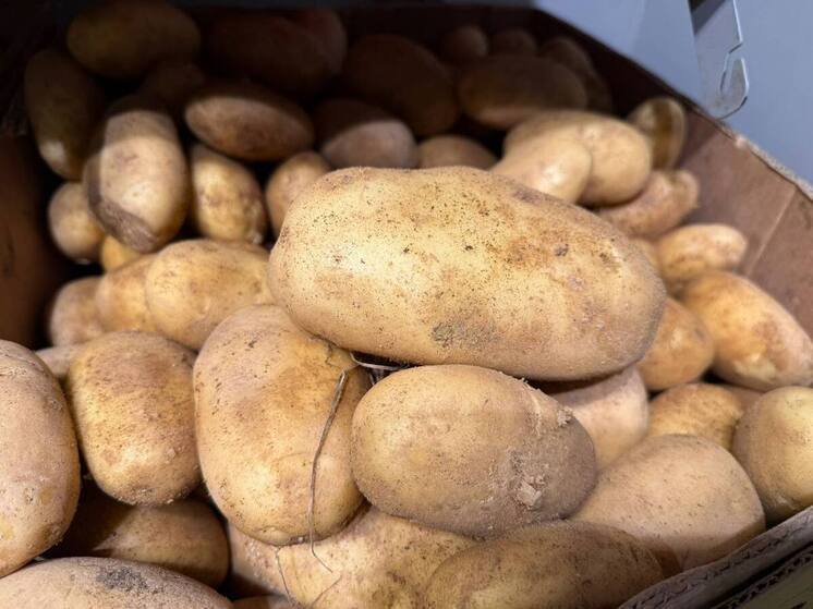 На Ставрополье минимальный набор продуктов оказался дороже общероссийского