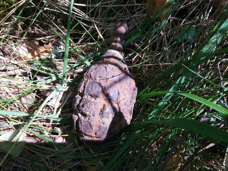 В Руднянском районе обезвредили гранату времен войны