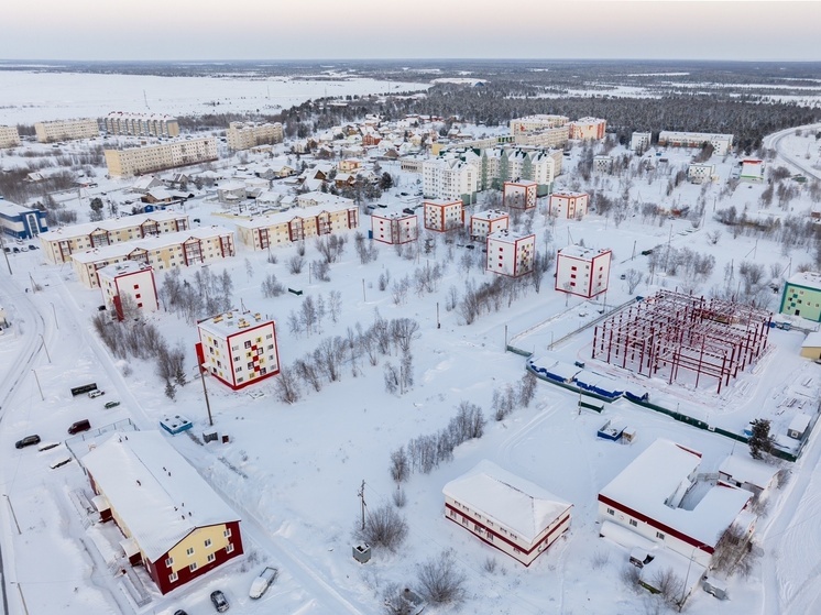 Таунхаусы построят в надымском поселке Лесном