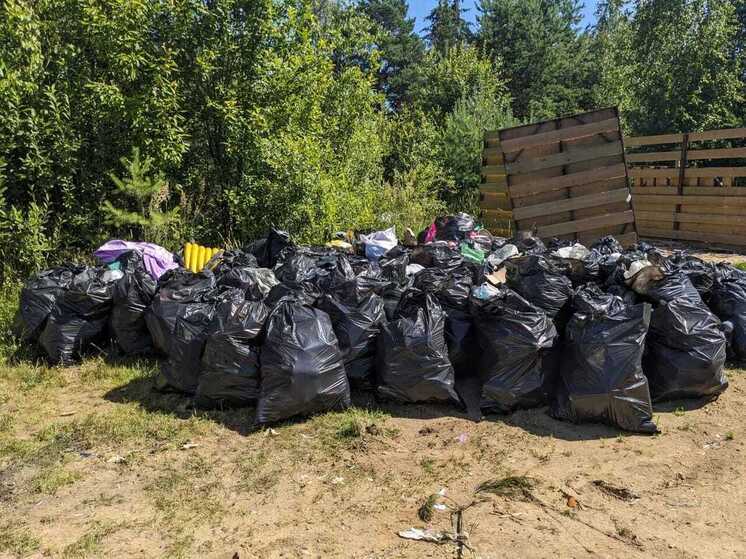 В заказнике «Север Мшинского болота» собрали 10 кубометров мусора