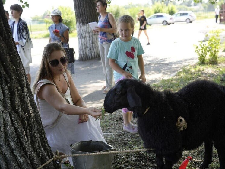 Госслужащий из Усть-Абакана выиграл на «Большом Сибирском круге» живой приз