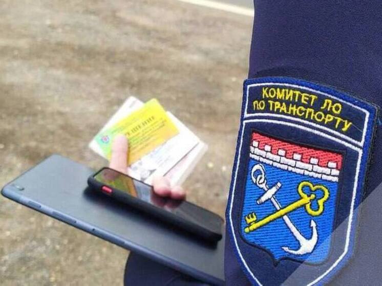 Транспорт в Ленобласти проверят на доступность для маломобильных граждан