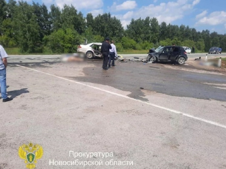 В Новосибирской области четверо детей стали сиротами после ДТП
