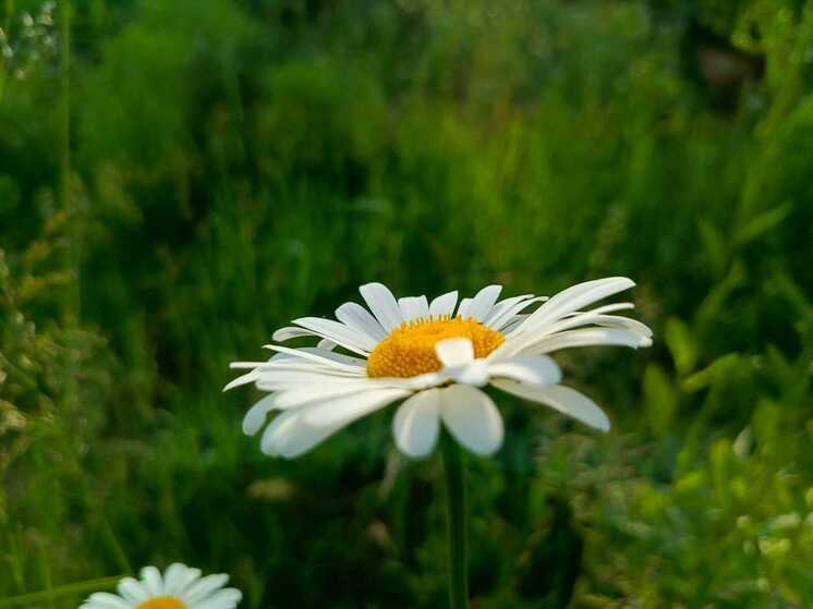 В Башкирии ожидается жаркая погода без дождей