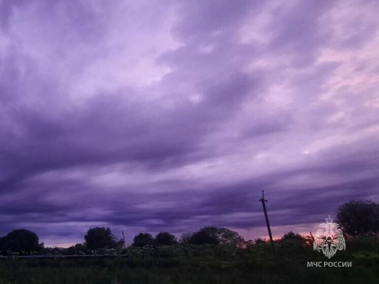 МЧС Пскова предупреждает о грозах и ливнях сегодня по югу Псковской области