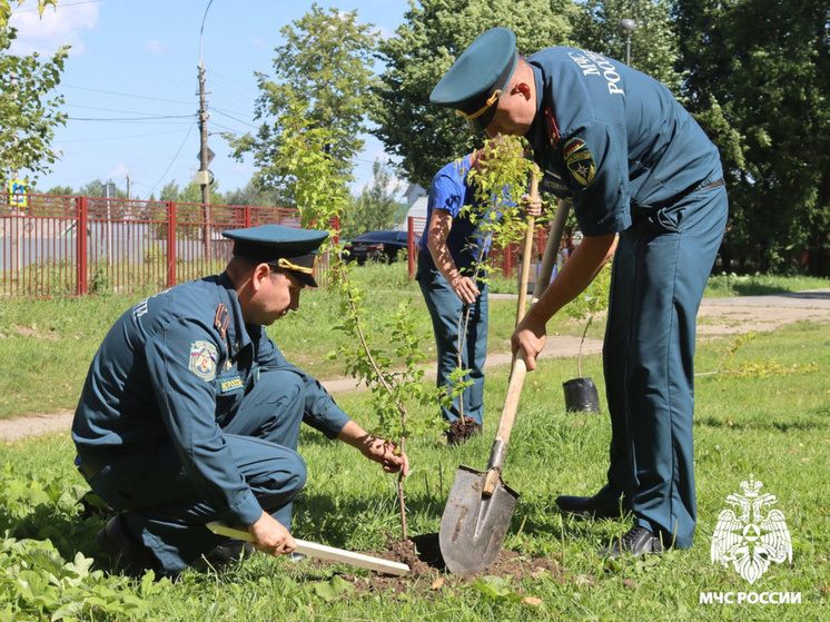 Аллея в честь 35-летия МЧС РФ заложена в парке Ветеранов в Вологде