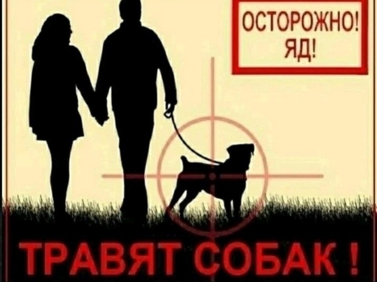 Неизвестные отравили собаку в Ноябрьске