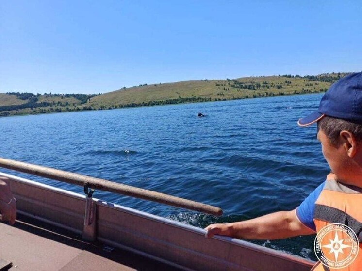 Спасатели вытащили нетрезвого пловца из озера Талкас