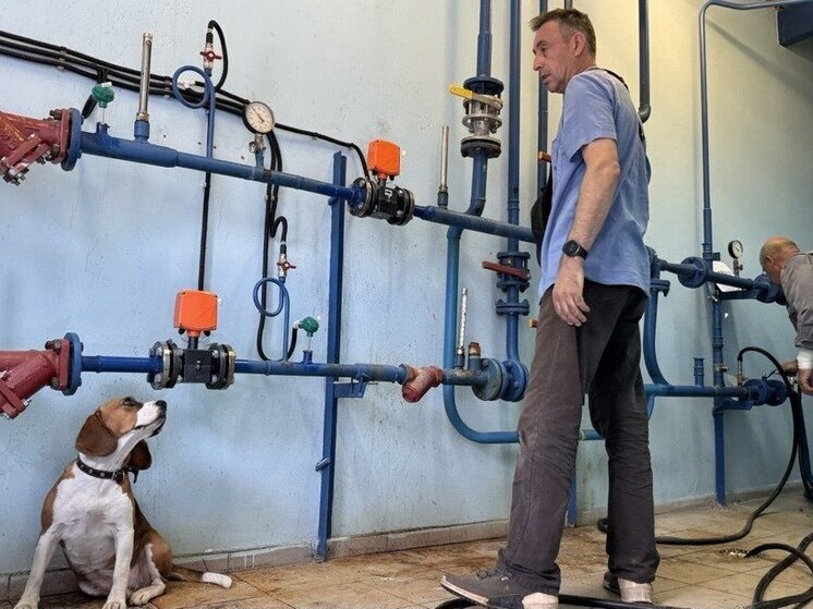 В Обнинске бигль «одобрил» подготовку к зиме