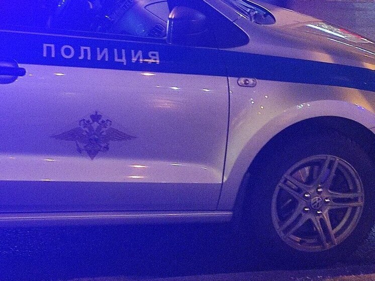 Под Гатчиной полицейские со стрельбой и погоней задержали пьяного водителя