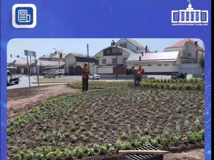 В Нальчике активно ведутся работы по оформлению цветочных клумб