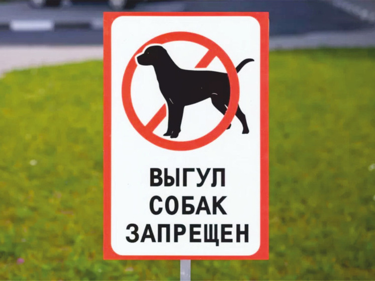 В Ярославле очередной спор по поводу выгула собак