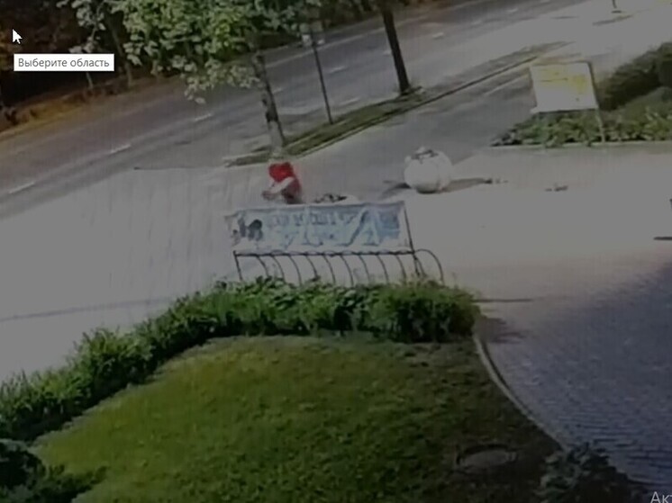 Пьяный вандал разгромил клумбы в Петрозаводске
