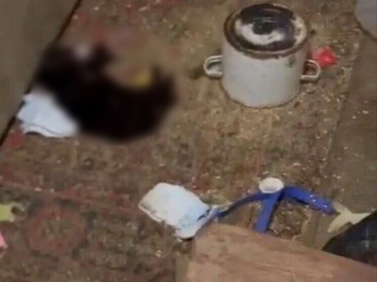 Трупный запах: в Артеме обнаружили ужасающий дом для передержки животных