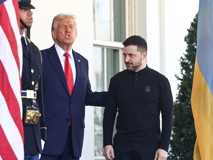 Spiegel: Зеленский мог тайно сговориться с Трампом о переговорах с РФ