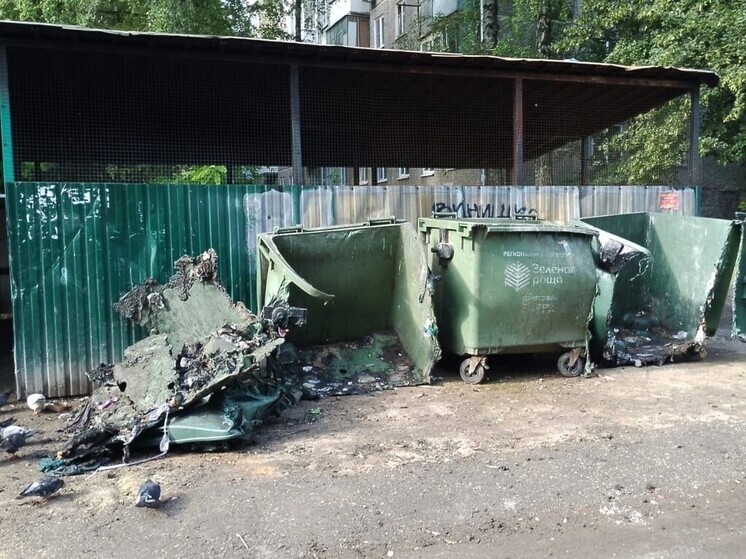 В Орле вандалы уничтожили 11 мусорных контейнеров за неделю