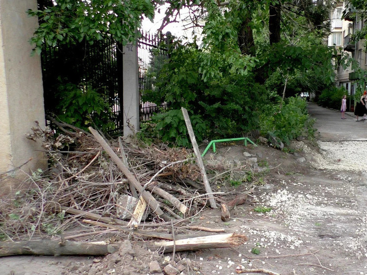 В Волгограде управляющая компания ответила на жалобы жильцов на уборку двора