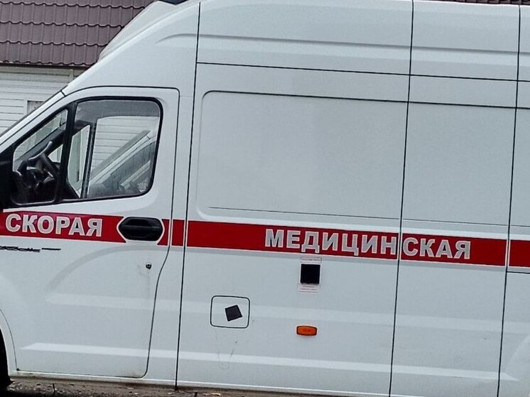 В ДТП в поселке Симагино пострадали водитель и его собака