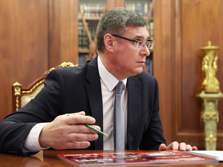 Губернатор Владимирской области рассказал Путину о проблемах в медицине