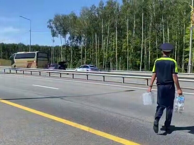 Инспекторы ДПС помогли пассажирам сломавшегося туристического автобуса