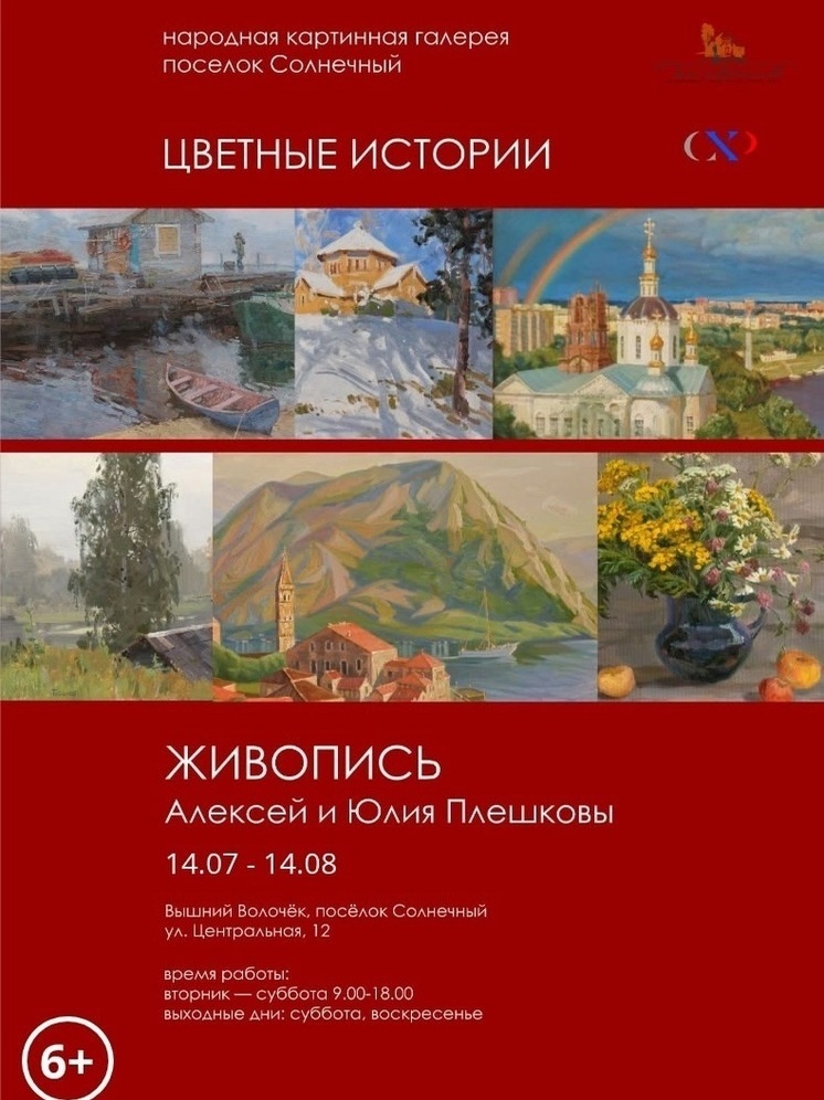 В Вышневолоцком округе открылась выставка «Цветные истории»