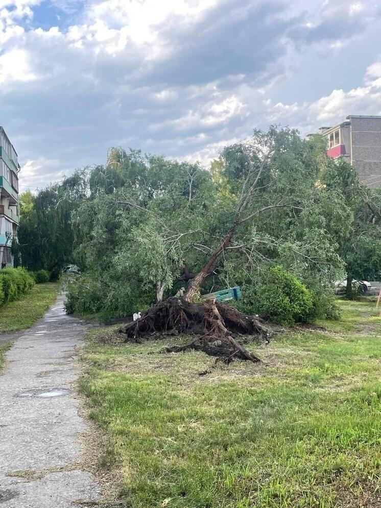Саяногорск расчистили после шторма