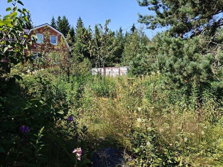 Новгородцев предупредили о штрафах при установке дачного туалета
