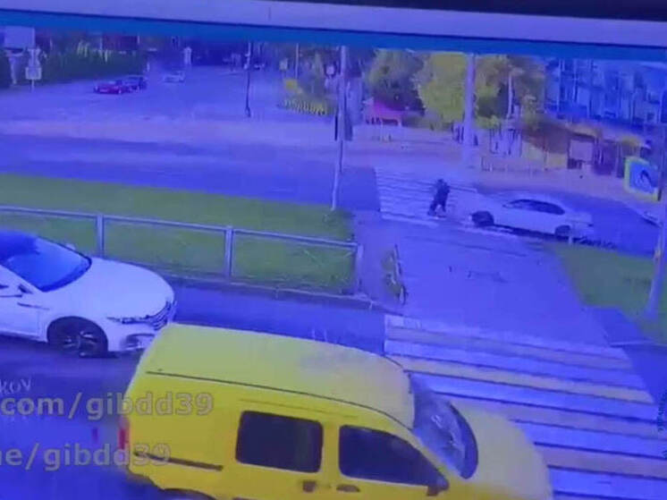 Калининградец сбил электросамокатчика на пешеходном переходе